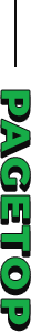 pagetop